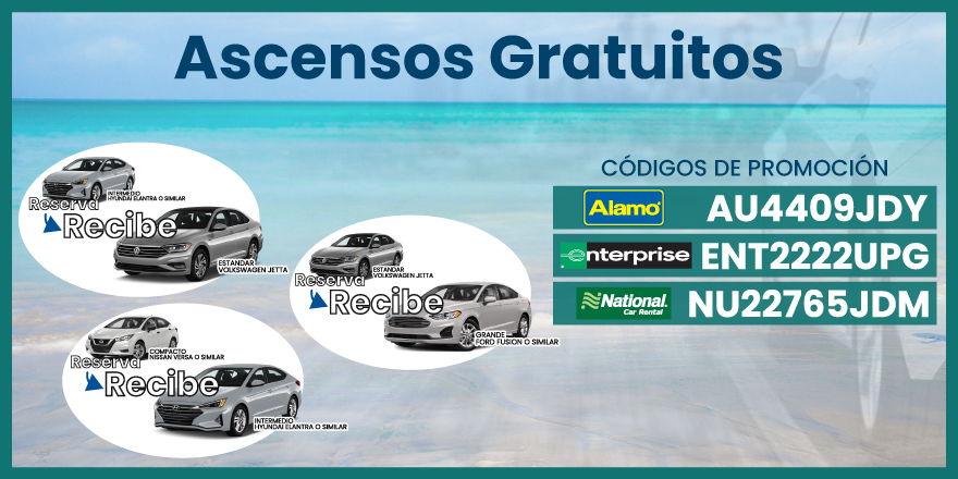 Image Alternative text